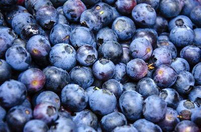 Full frame shot of blackberries