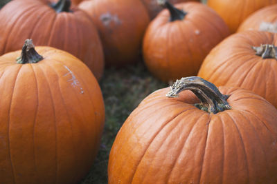 Full frame shot of pumpkins