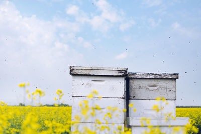 Close-up of beehives on field against sky