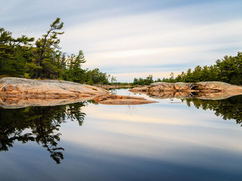 Reflection of trees in water against sky