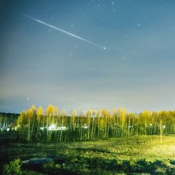 Scenic view of grassy field against sky