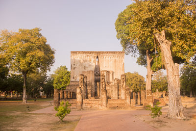 Trees in front of temple against clear sky