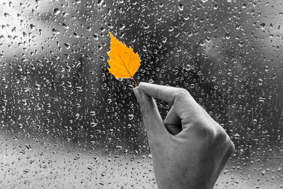 Yellow leaf in hand on a wet window. rainy autumn day. the window is all in drops.