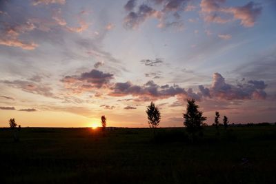 Silhouette trees on field against sky during sunset