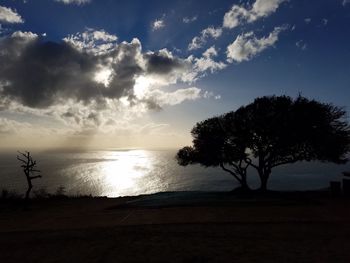 Silhouette tree by sea against sky during sunset