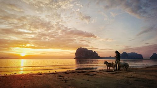 Woman standing with dogs at beach against orange sky