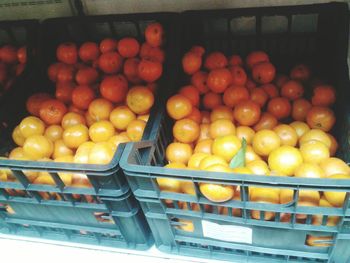 Fruits in container