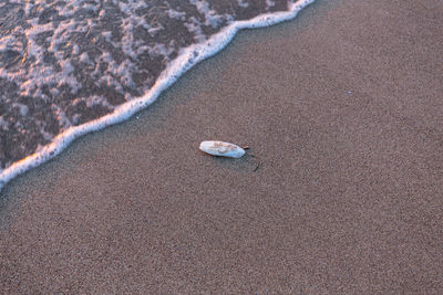 High angle view of surf on beach