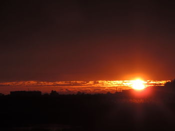 Silhouette of trees at sunset