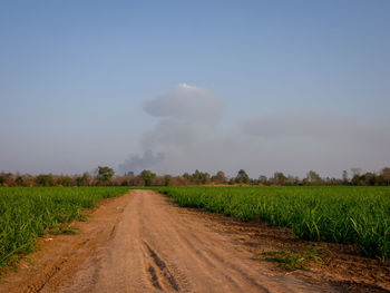 Dirt road amidst agricultural field against sky