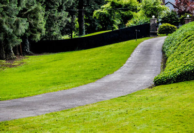 Scenic view of grass and trees