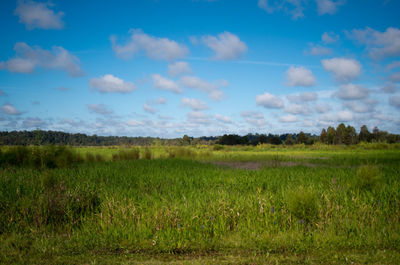 Scenic view of field against cloudy sky