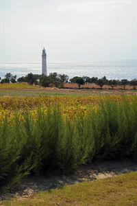 Scenic view of sea by buildings against sky