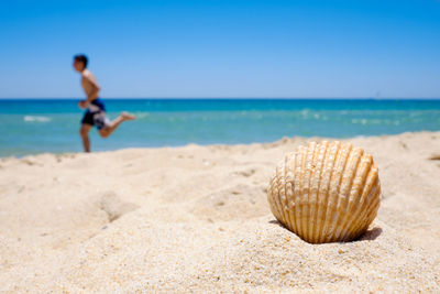 Scenic view of beach