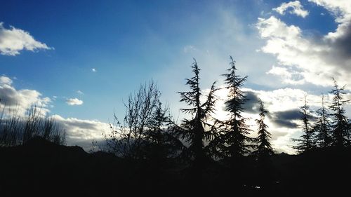 Low angle view of silhouette trees against sky