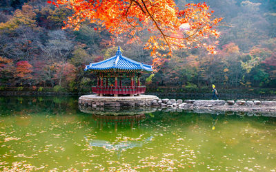 Beautiful coloful leaf and lake view during autumn season at jeongeup, south korea