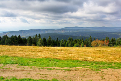 Scenic view of field against sky