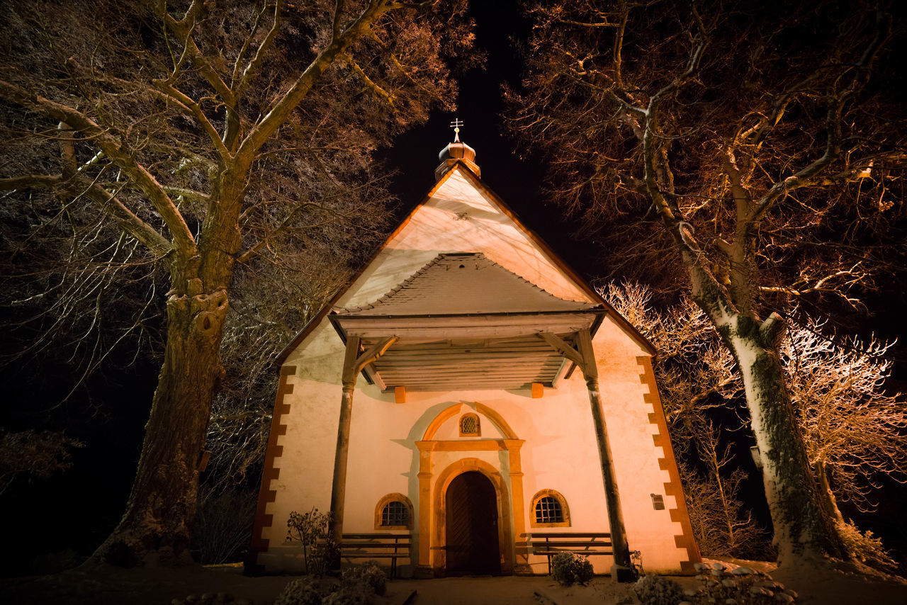 ILLUMINATED BUILDING AND TREES AT NIGHT