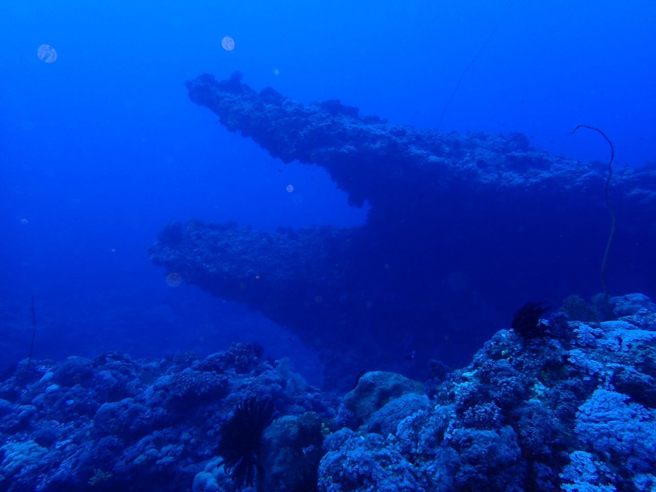 AERIAL VIEW OF SEA AND FISH