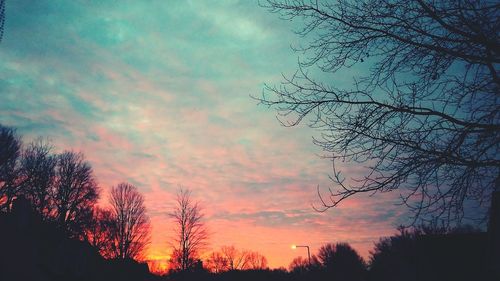 Low angle view of silhouette trees against sky at sunset