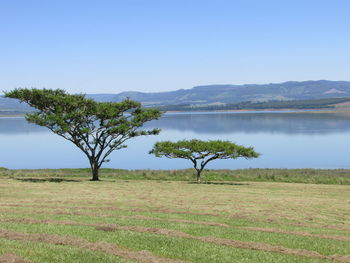 Scenic view of lake against clear blue sky