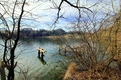 Bare tree in lake against sky