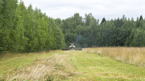 Trees on field against sky