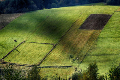 View of agricultural field