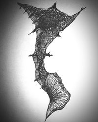 Bird flying against sky