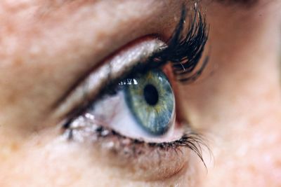 Close-up of human eye