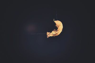 Low angle view of illuminated lights at night