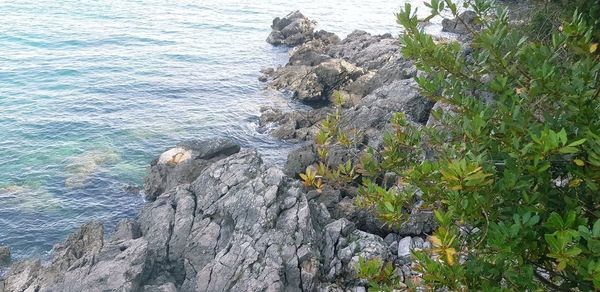 High angle view of rock formation in sea