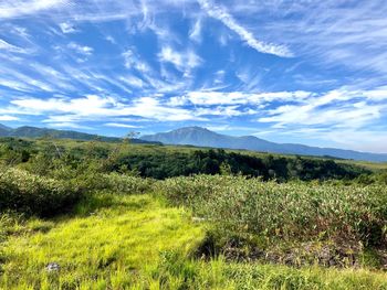 Scenic view of field against sky