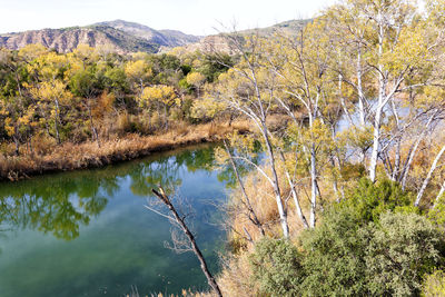 Scenic view of lake by trees against sky