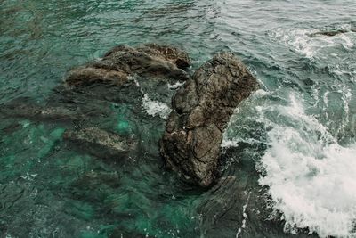 Close-up of water in sea