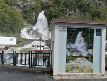 Smoke emitting from tree by building