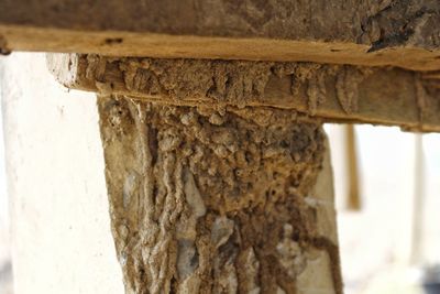 Close-up of weathered wood