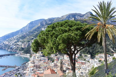 Panoramic shot of palm trees and buildings in city against sky