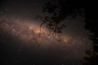 Star field against sky at night