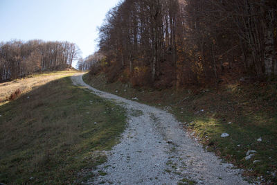 Dirt road amidst plants and trees against sky
