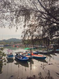 Boats moored in lake