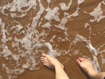 Low section of person standing on beach