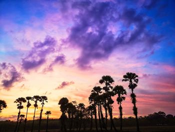 Silhouette trees against sky during sunset