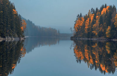 Autumn trees by lake against sky