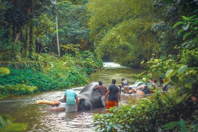 Group of people in water at forest