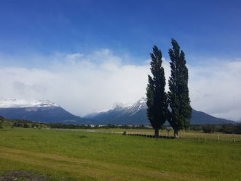 Scenic view of field against sky