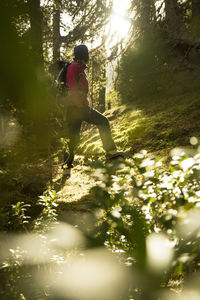 Woman in sunlight