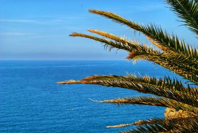 Scenic view of sea against blue sky