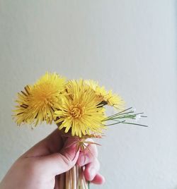 Close-up of hand holding yellow flower