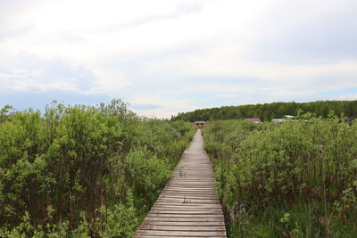 Boardwalk amidst plants on land against sky